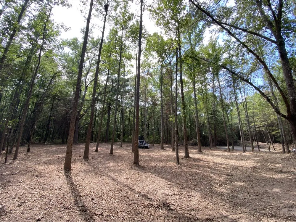 Affordable residential landscaping in Pattonville, TX - AB Land Clearing