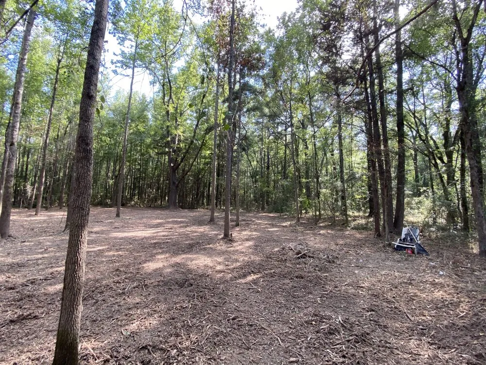 Affordable landscape design in Pattonville, TX - AB Land Clearing