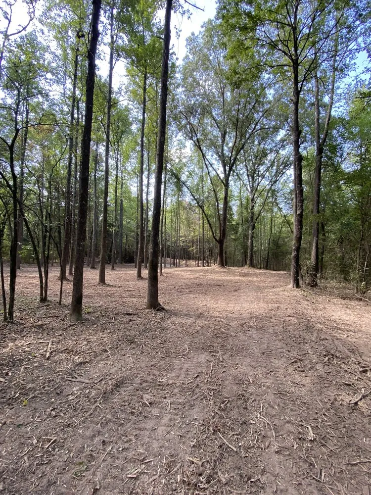 Custom garden landscaping in Pattonville, TX - AB Land Clearing