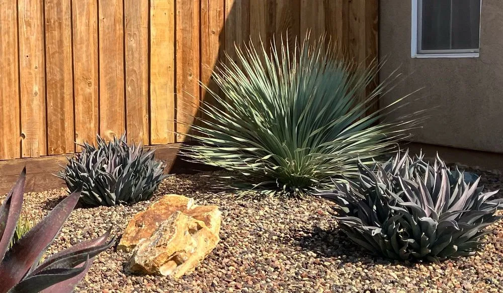 Custom lawn mowing service for year-round maintenance in Sacramento, CA by A&B Landscape Service