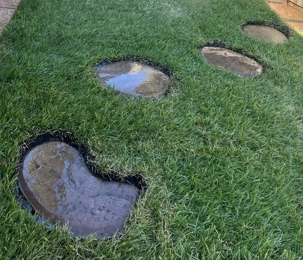 Trusted landscape installation for year-round maintenance in Sacramento, CA by A&B Landscape Service