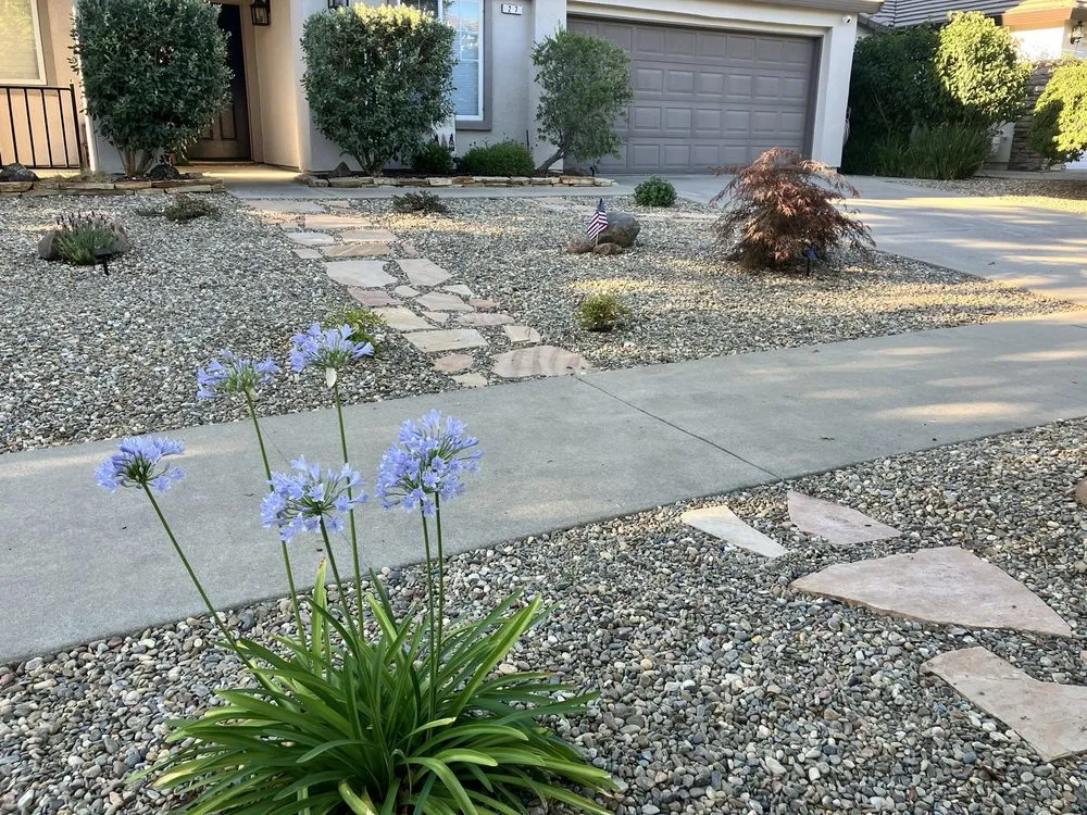 Professional lawn care service in Sacramento, CA by A&B Landscape Service