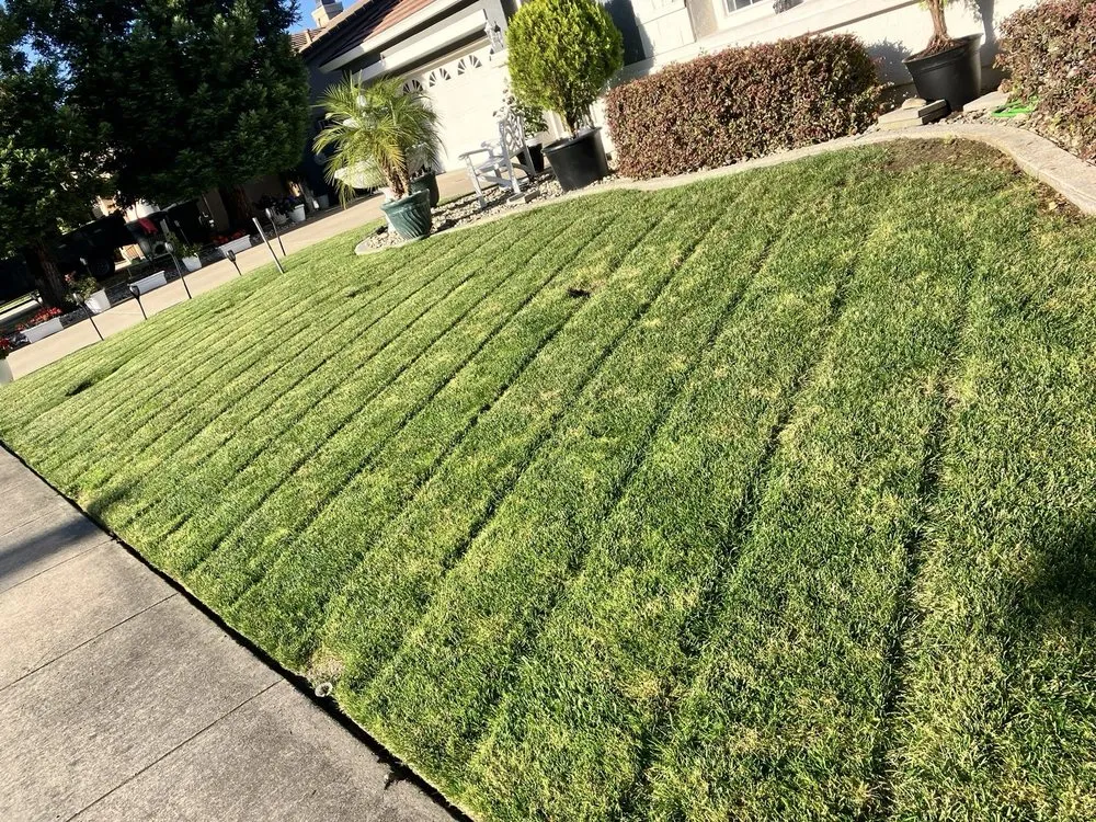 Professional lawn care service experts serving Sacramento, CA - A&B Landscape Service