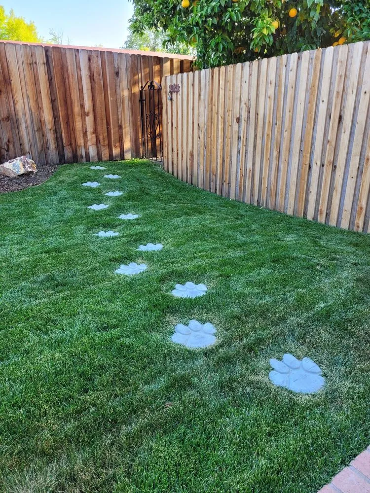 Affordable yard cleanup service for homes across Rancho Cordova, CA - AB Landscape Services