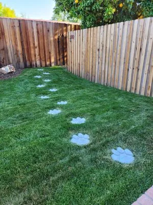 AB Landscape Services Logo