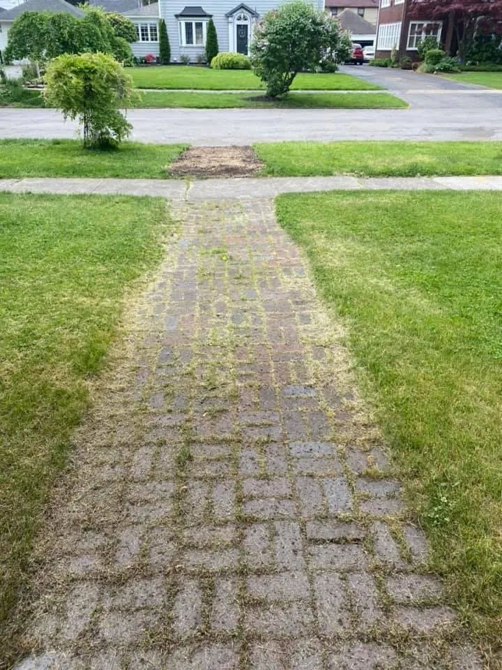 Professional garden landscaping for year-round maintenance in Rochester, NY by A&B Landscape Solutions