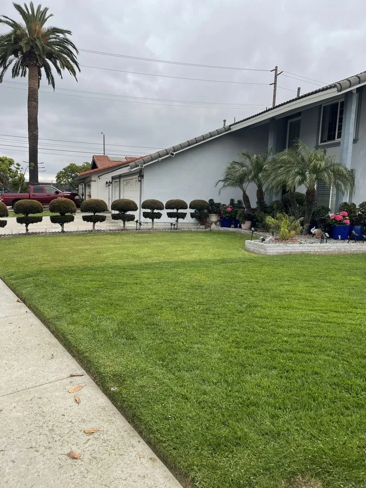 Expert yard maintenance in Costa Mesa, CA - A&B Landscaping and Construction