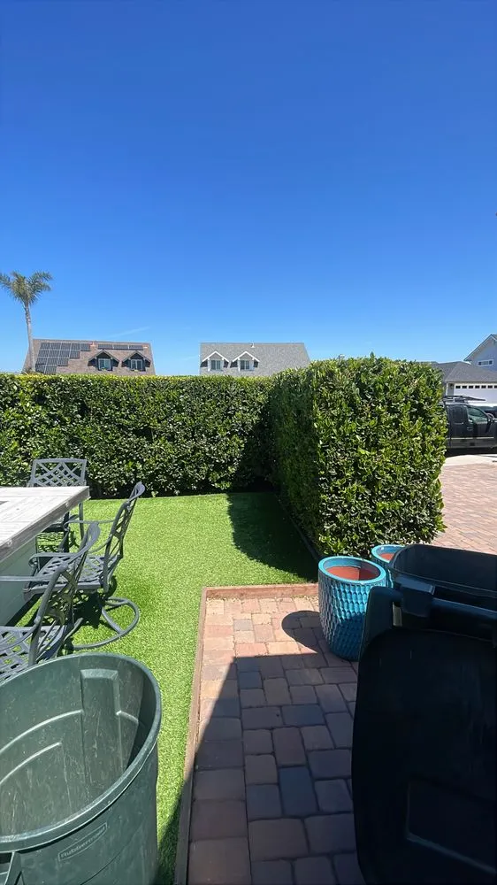 Expert lawn care service in Costa Mesa, CA by A&B Landscaping and Construction