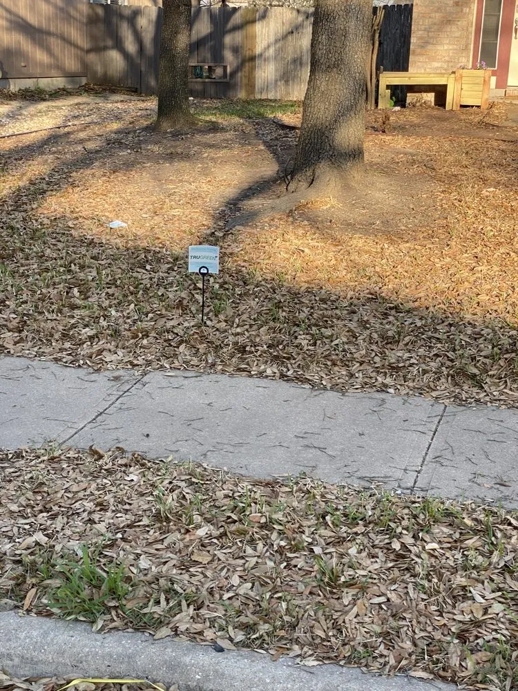 Affordable landscaping services near you across Elgin, TX - AB Landscaping