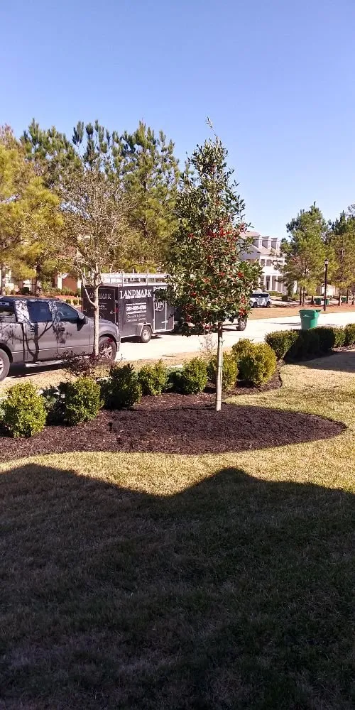 Reliable outdoor landscaping for year-round maintenance in Houston, TX by AB Landscaping