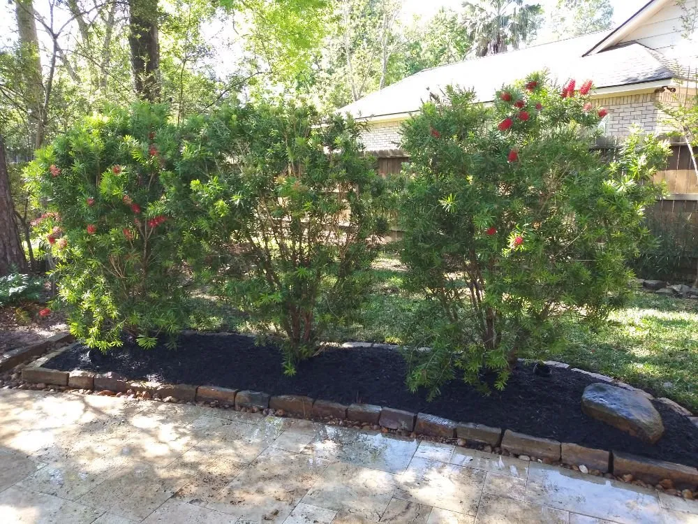 Trusted landscaping services experts serving Houston, TX - AB Landscaping