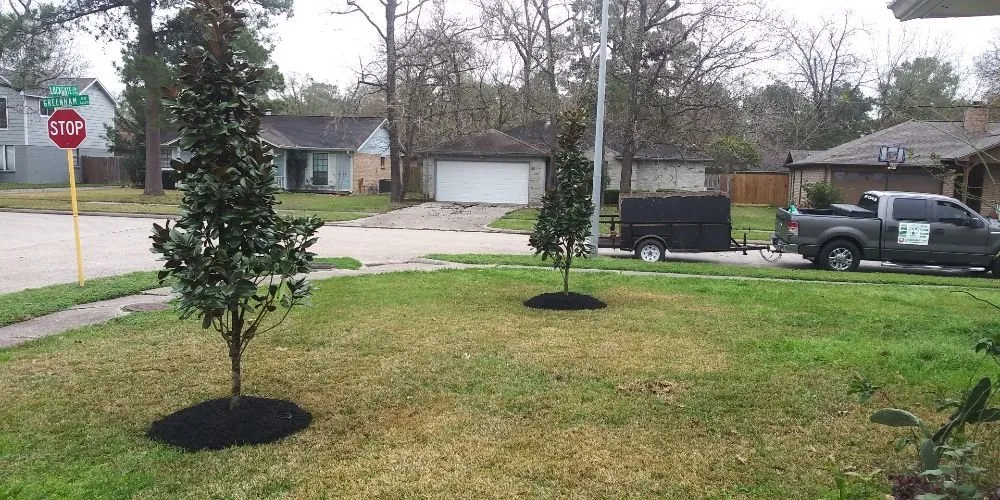 Professional landscape installation for residential properties across Houston, TX - AB Landscaping