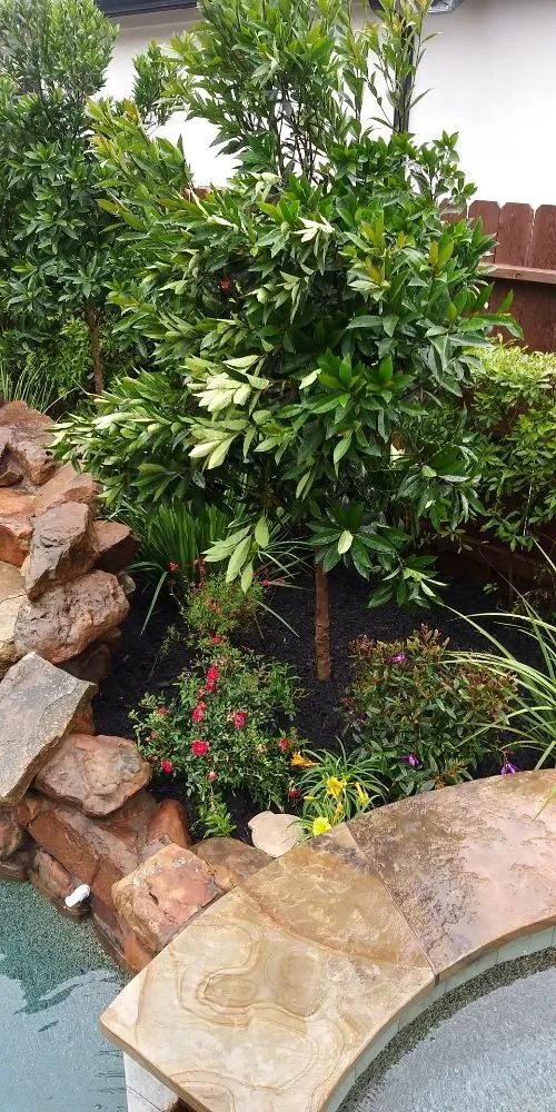 Custom landscaping services in Houston, TX - AB Landscaping