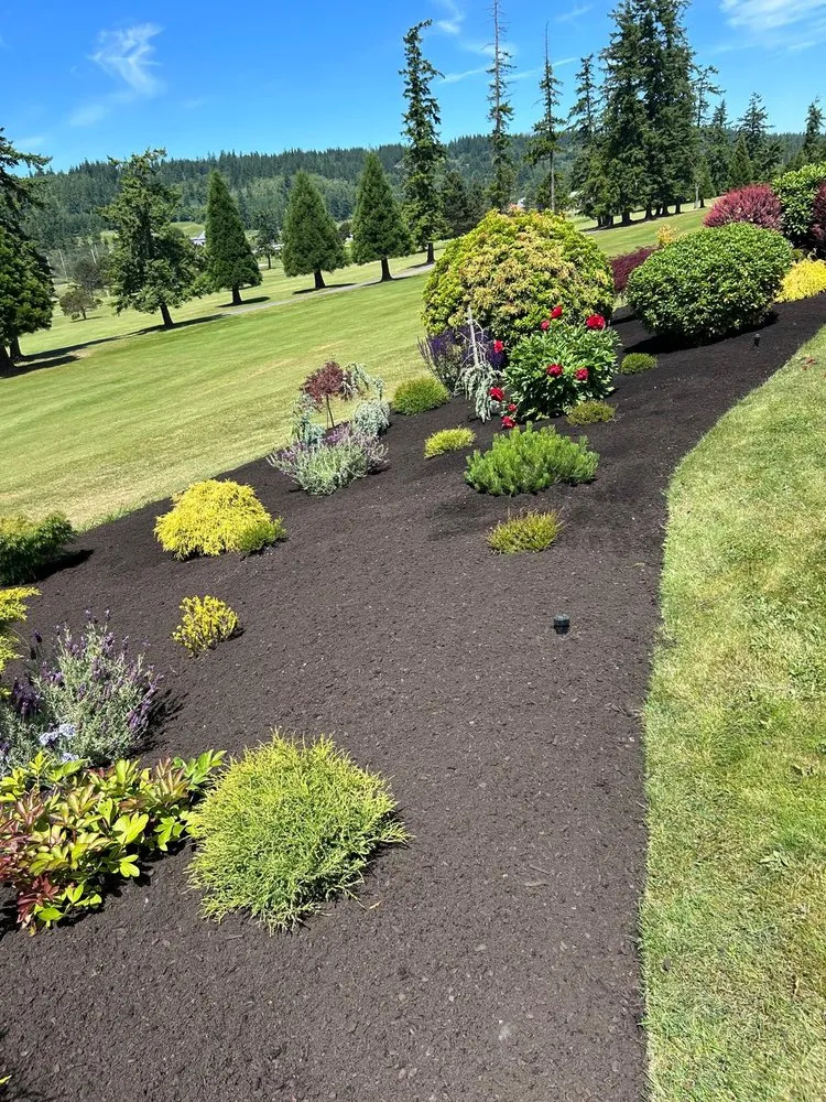 Reliable landscaping services experts serving Sedro-Woolley, WA - A&B Landscaping Services