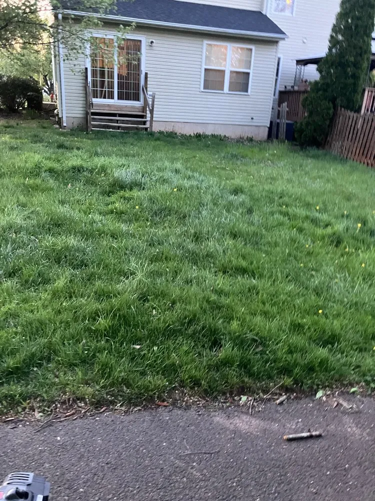 Expert yard cleanup service in Telford, PA by A&B Landscaping