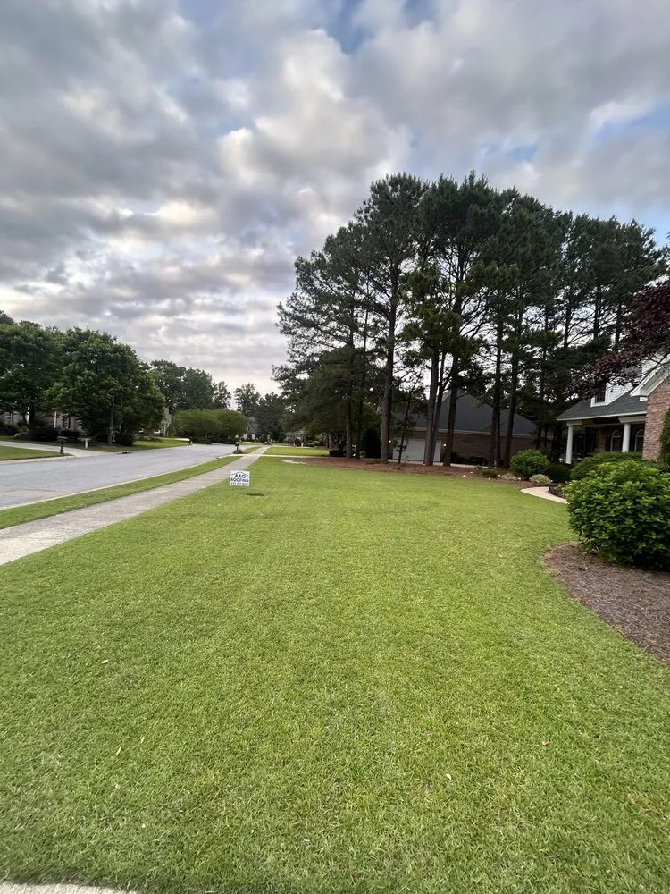 Reliable yard maintenance in Greenville, NC - Ab Landscapingg