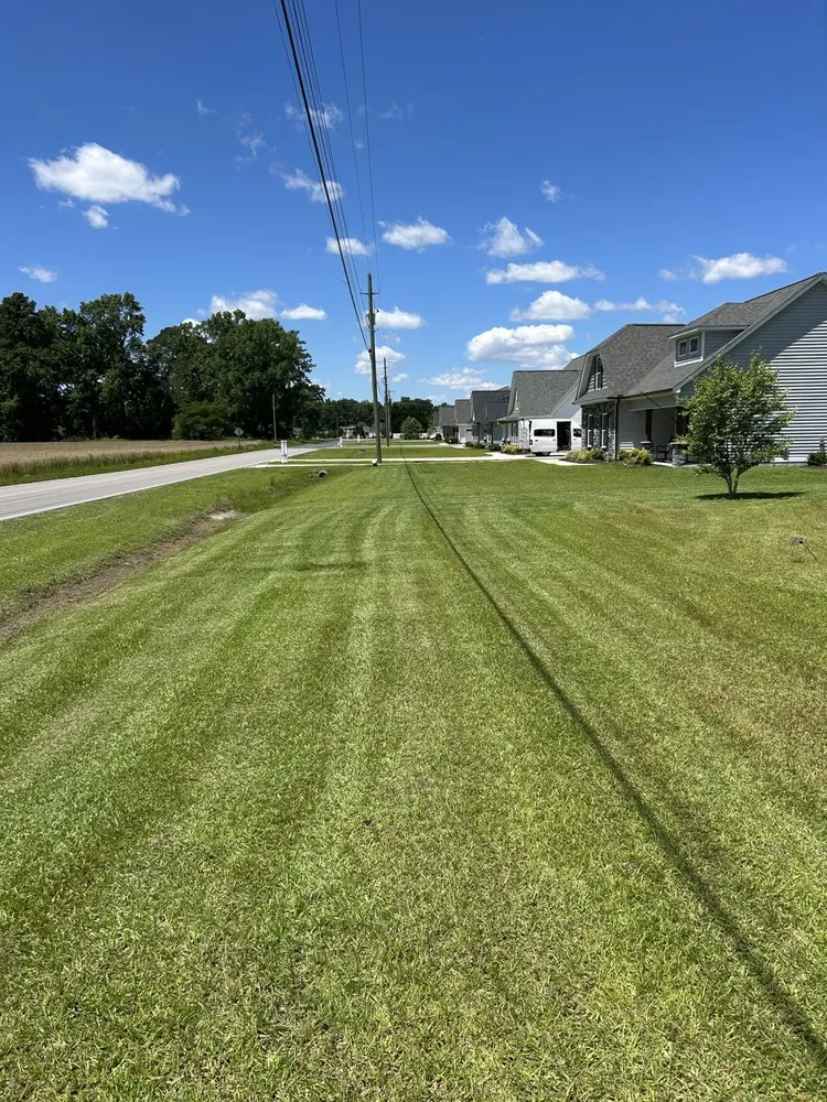 Professional yard maintenance near you across Greenville, NC - Ab Landscapingg