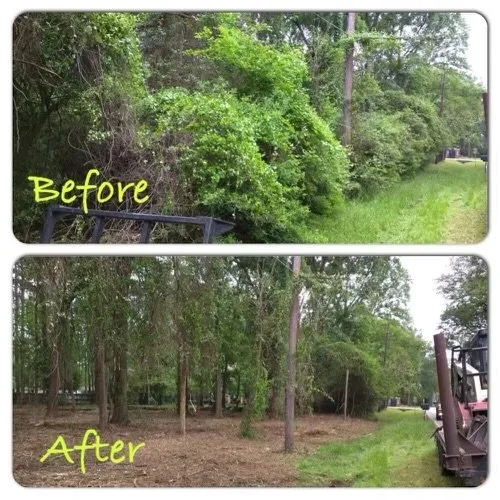 Affordable lawn mowing service in Greensboro, NC by A&B Lawn & Tree