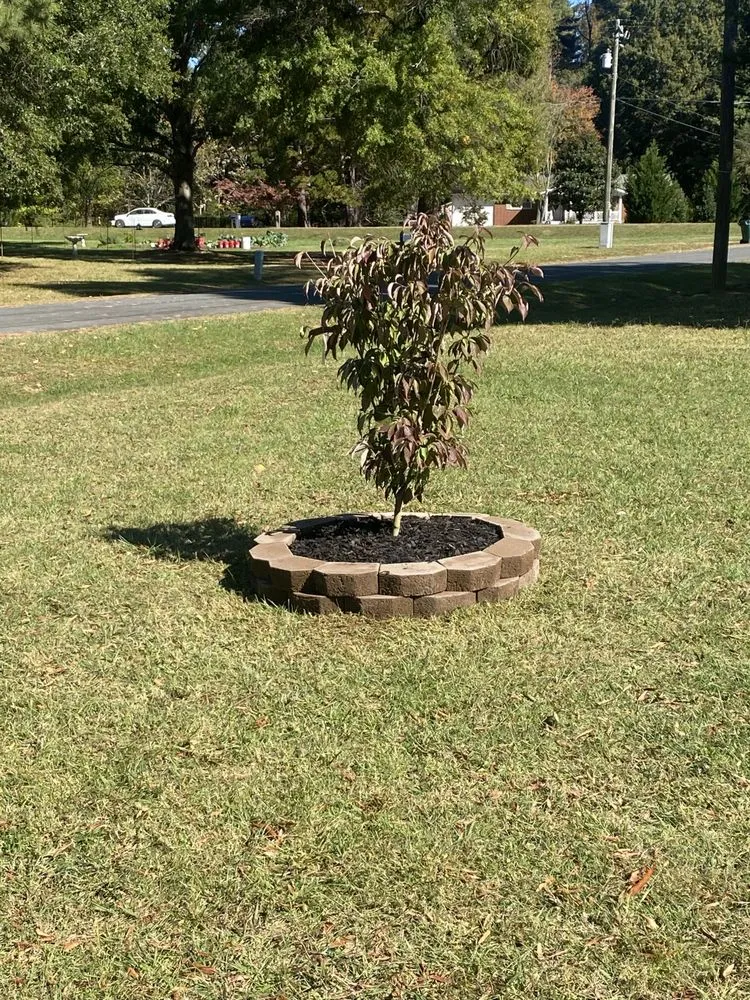 Local outdoor landscaping in Greensboro, NC by A&B Lawn & Tree