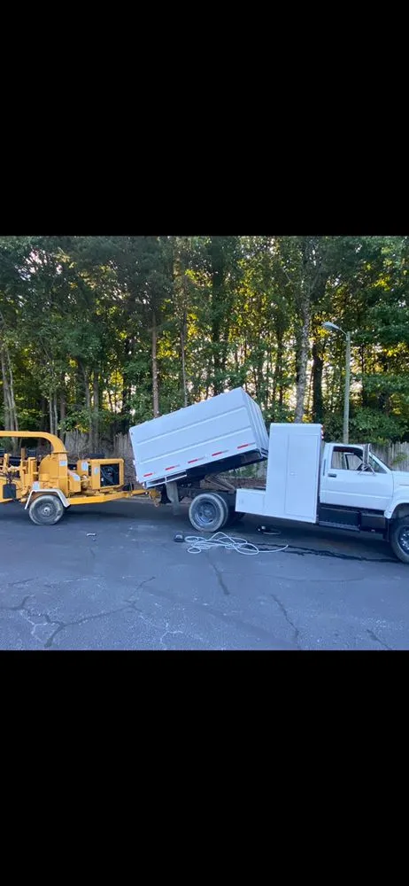 Expert yard cleanup service in Greensboro, NC by A&B Lawn & Tree