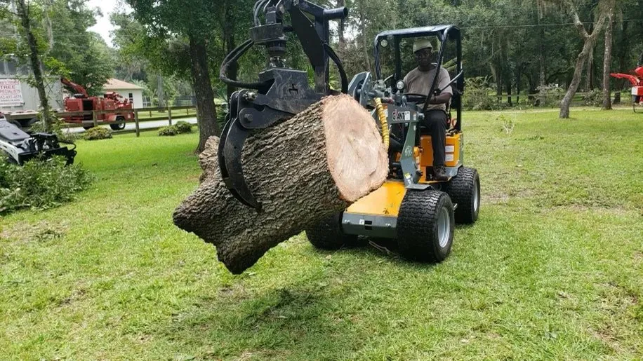 Professional residential landscaping in Greensboro, NC by A&B Lawn & Tree
