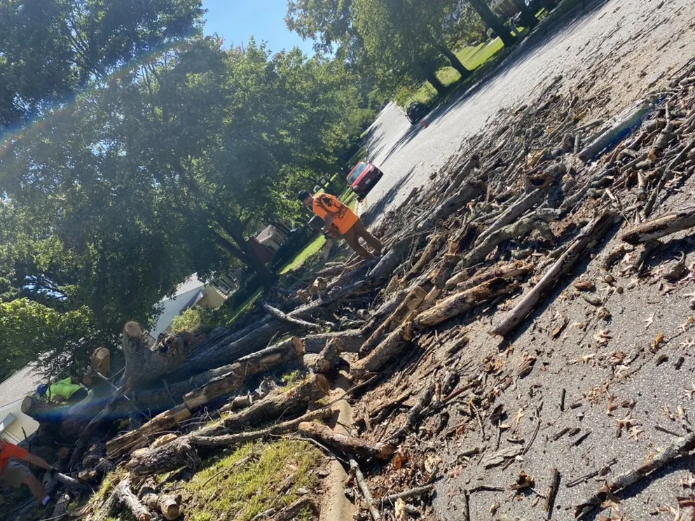 Local yard cleanup service for year-round maintenance across Greensboro, NC - A&B Lawn & Tree