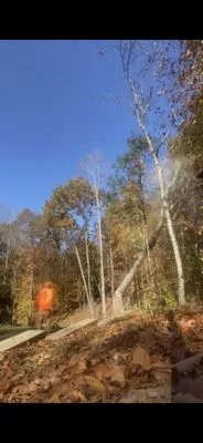 A&B Lawn & Tree Logo