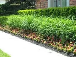 Top-rated yard maintenance for outdoor upgrades across Gobles, MI - A&B Lawn Care & Landscaping