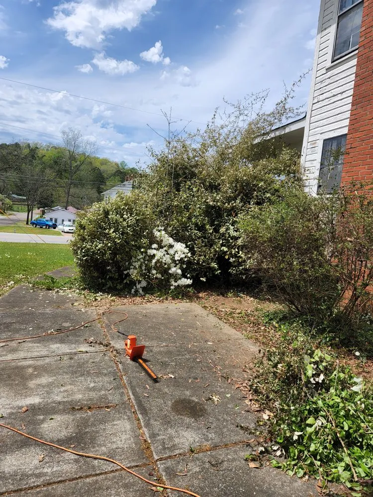 Affordable lawn care service for year-round maintenance across Piedmont, AL - A&B lawn Care & Maintenance