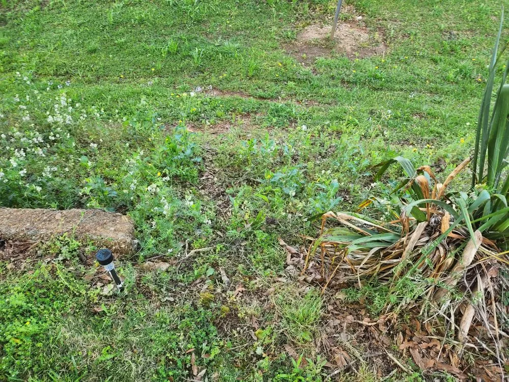 Affordable garden landscaping for beautiful yards across Piedmont, AL - A&B lawn Care & Maintenance