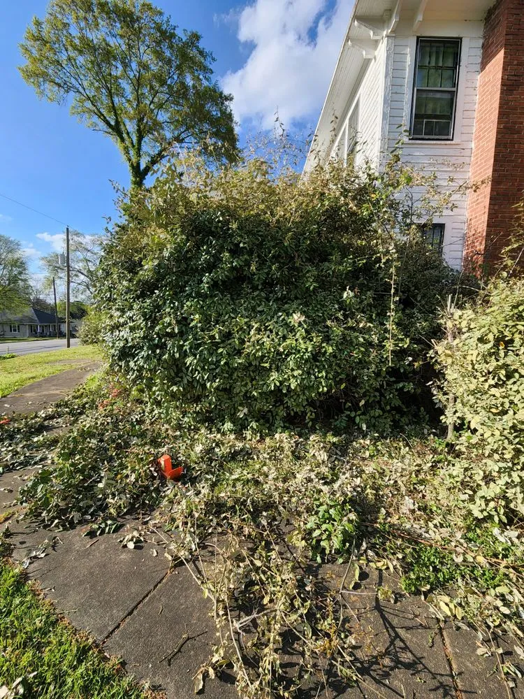 Custom yard maintenance experts serving Piedmont, AL - A&B lawn Care & Maintenance