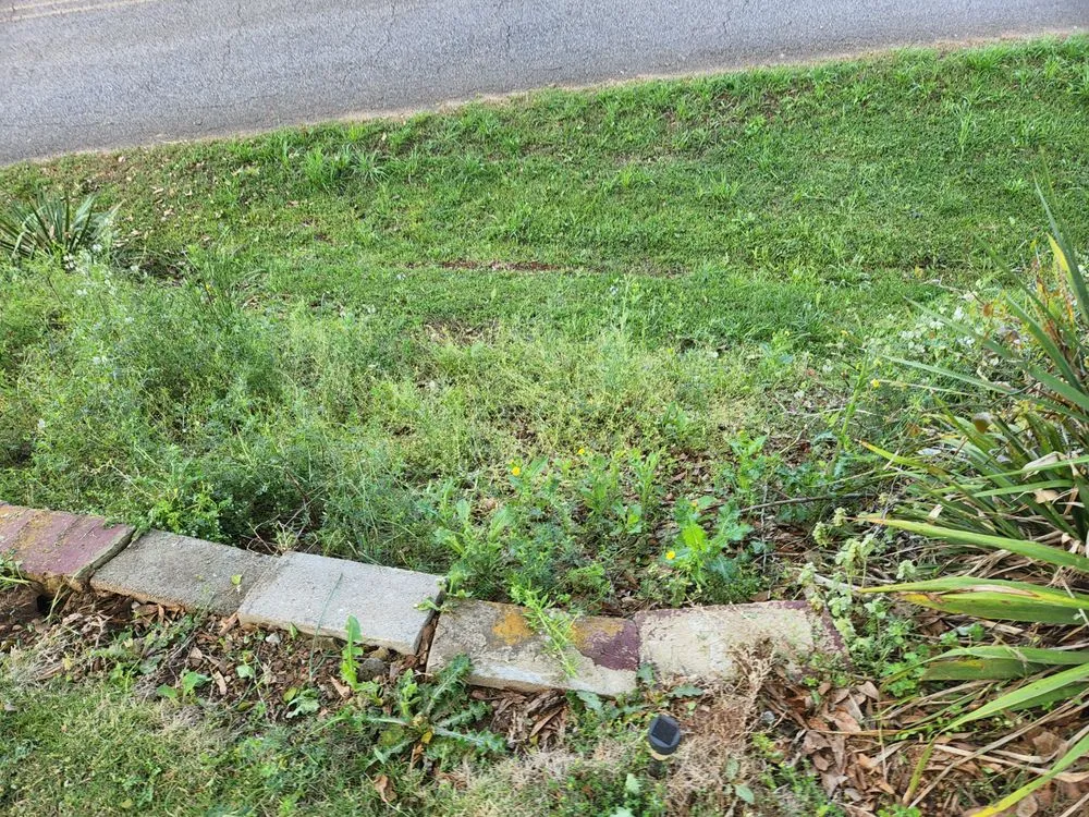 Local lawn mowing service with custom design in Piedmont, AL by A&B lawn Care & Maintenance