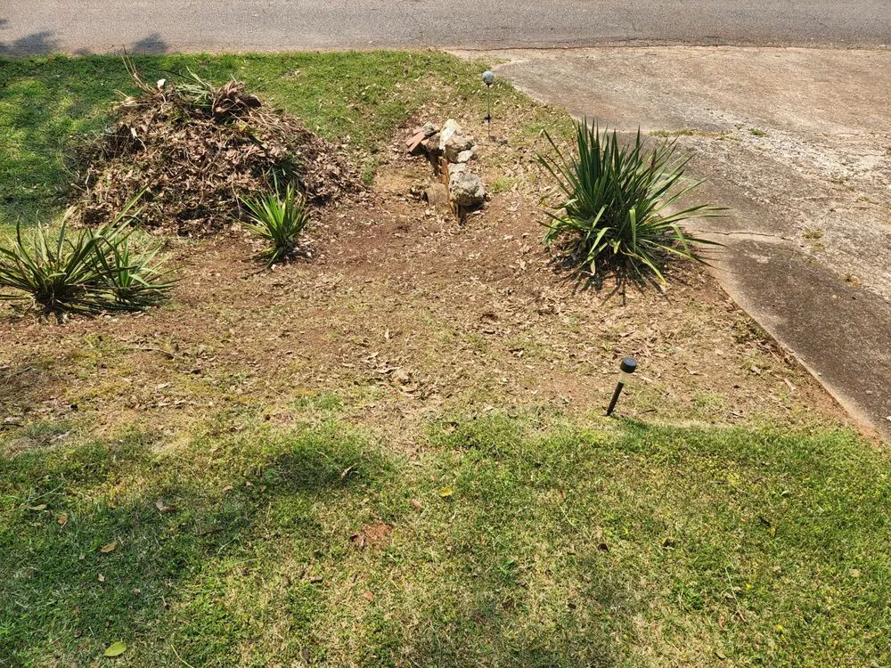 Expert lawn care service in Piedmont, AL by A&B lawn Care & Maintenance