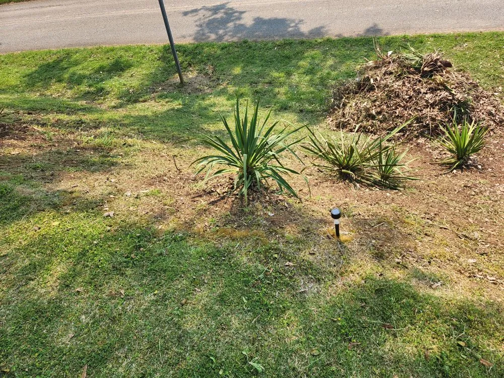 Local yard maintenance experts serving Piedmont, AL - A&B lawn Care & Maintenance