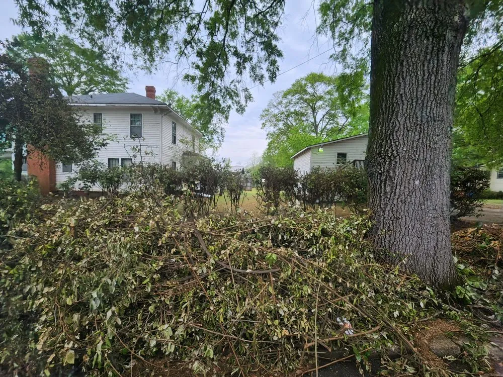 Expert yard cleanup service with custom design across Piedmont, AL - A&B lawn Care & Maintenance