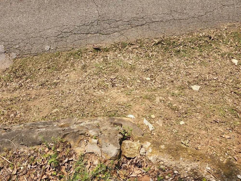 Local yard cleanup service in Piedmont, AL by A&B lawn Care & Maintenance