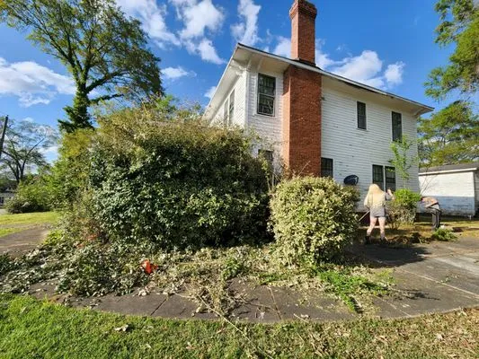 A&B lawn Care & Maintenance