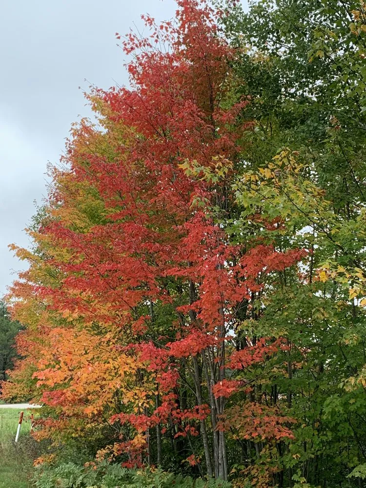 Trusted landscaping services in Rhinelander, WI by A&B Lawn Care & Snow Removal