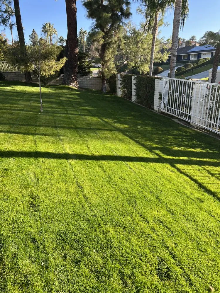 Affordable garden landscaping experts serving Bakersfield, CA - AB Lawn Care