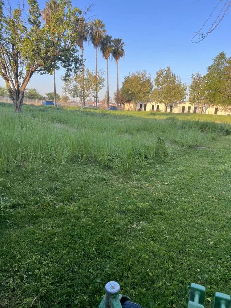 Reliable garden landscaping for outdoor upgrades in Bakersfield, CA by AB Lawn Care