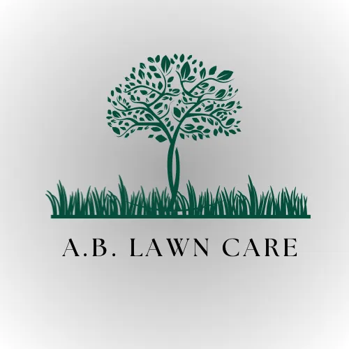Professional yard cleanup service in Palmetto, GA by A&B Lawn Care