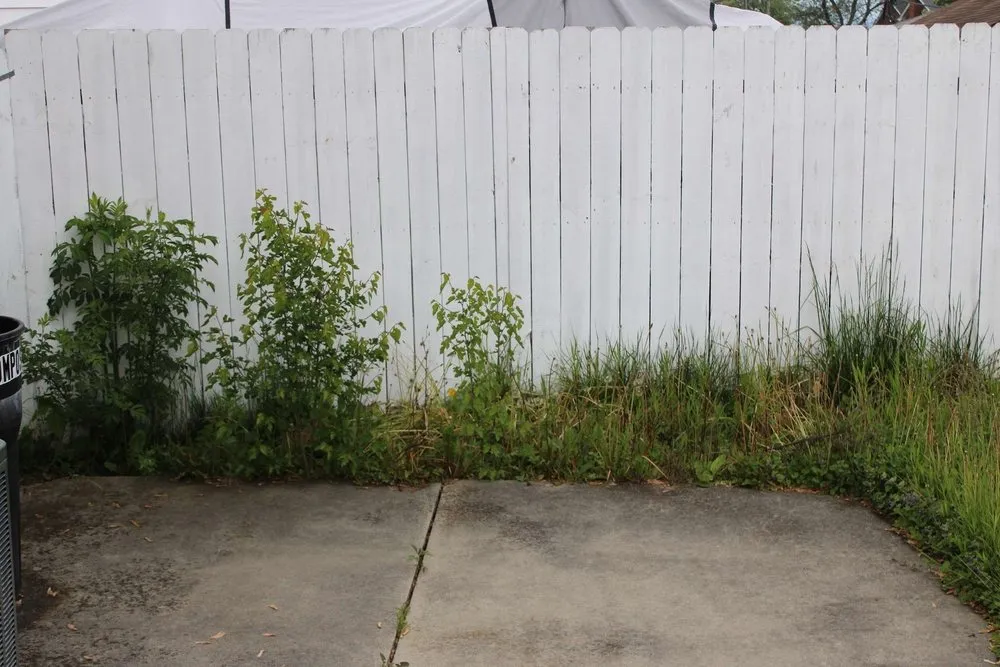Top-rated landscape design for residential properties in St. Clair Shores, MI by A&B Lawn Care