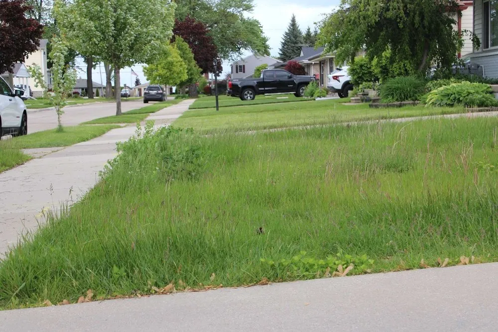 Professional lawn mowing service for residential properties in St. Clair Shores, MI by A&B Lawn Care