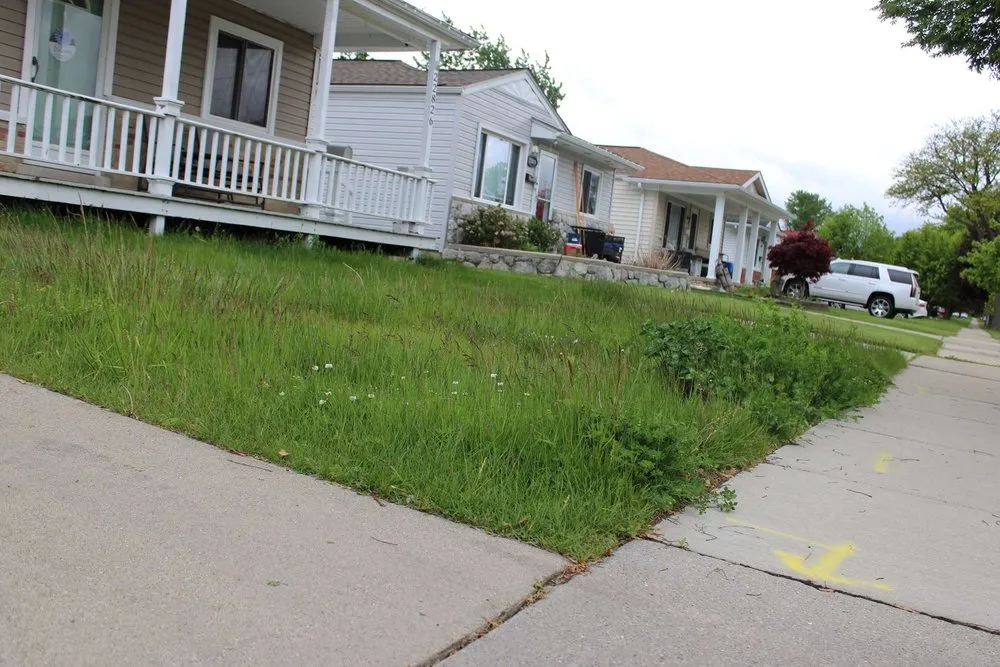 Professional outdoor landscaping in St. Clair Shores, MI - A&B Lawn Care