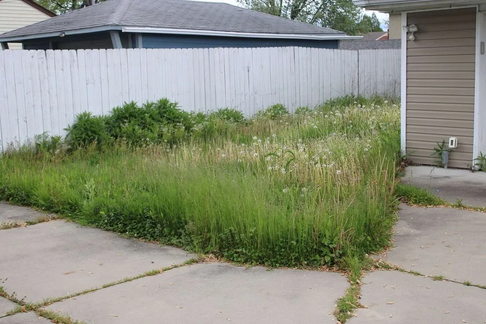 Local yard cleanup service with custom design in St. Clair Shores, MI by A&B Lawn Care
