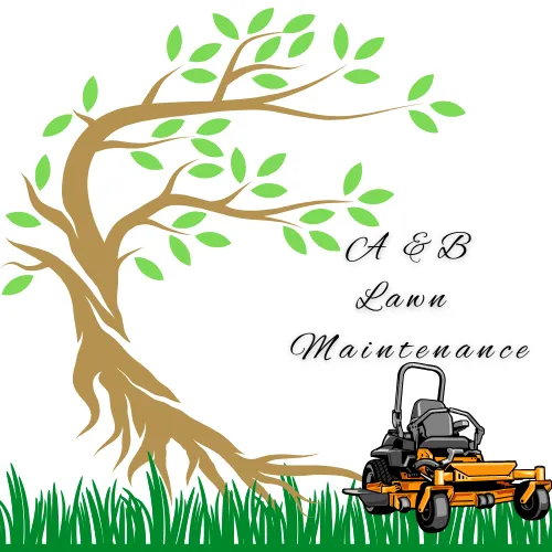 Professional outdoor landscaping in Lake Park, NC - A&B Lawn Maintenance