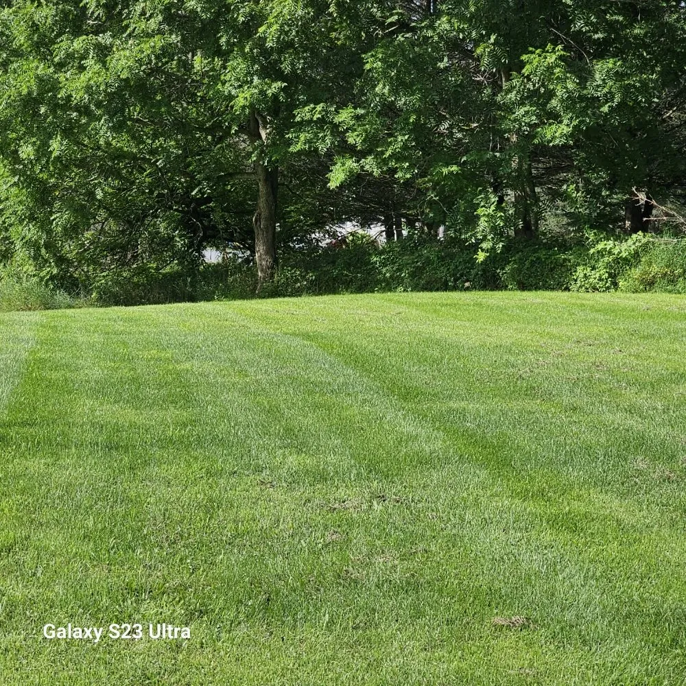Top-rated outdoor landscaping in Antwerp, NY - A&B lawn mowing