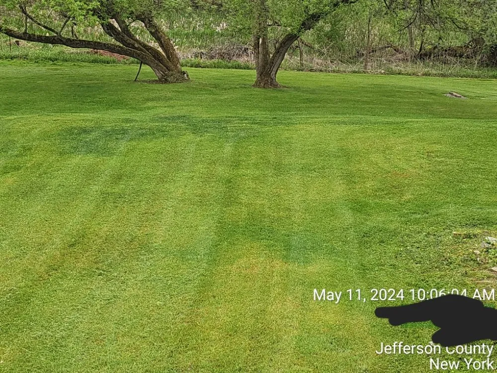 Affordable landscaping services near you across Antwerp, NY - A&B lawn mowing