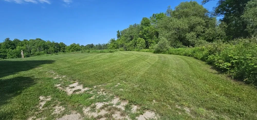 Custom yard cleanup service experts serving Antwerp, NY - A&B lawn mowing