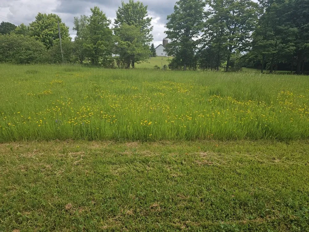 Top-rated landscape design experts serving Antwerp, NY - A&B lawn mowing